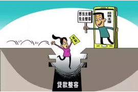 大厂债务清欠服务